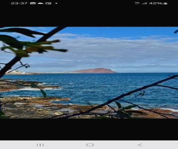 Relax Flat Palm View