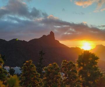 El Rincón De Cornelia En Tejeda