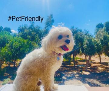 Bungalow Sequero #pet Friendly