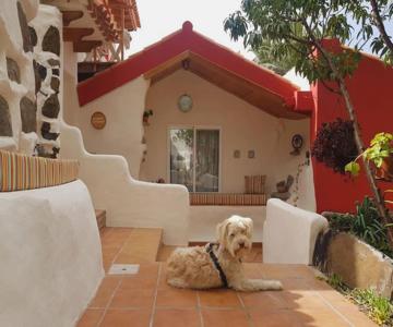 Hyggeland II - Oase Der Ruhe Im Palmendorf Tazo