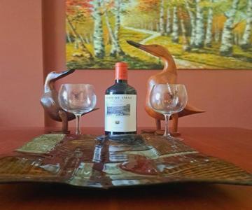 Garnacha Tinta Vt-lr-2179