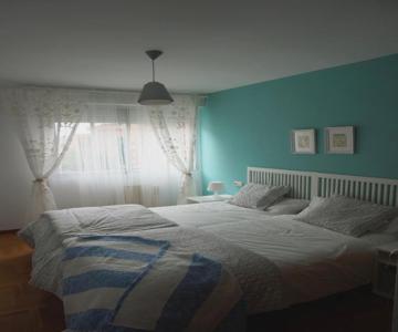 Apartamento Ermitagaña
