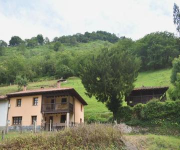 Apartamentos Rurales Buxil