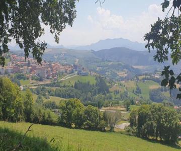 Apartamentos La Panerona Centro