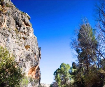 Hospedería Rural Constitución