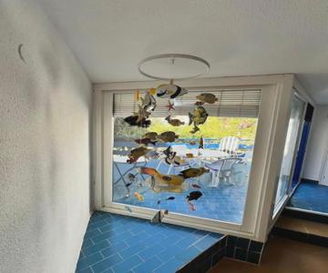 La Pecera De Isla Plana