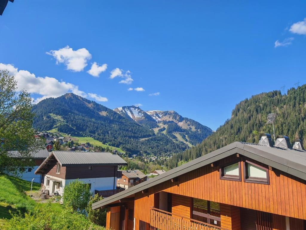 Le Bon' Appart studio proche centre Châtel