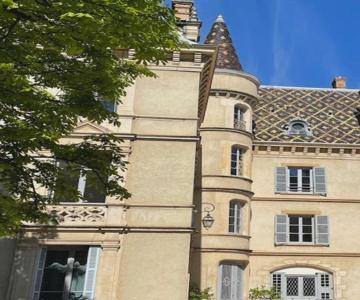Grand Appartement D'exception Au Château Randin