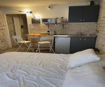 Studio With Exposed Stone Vieux Lyon