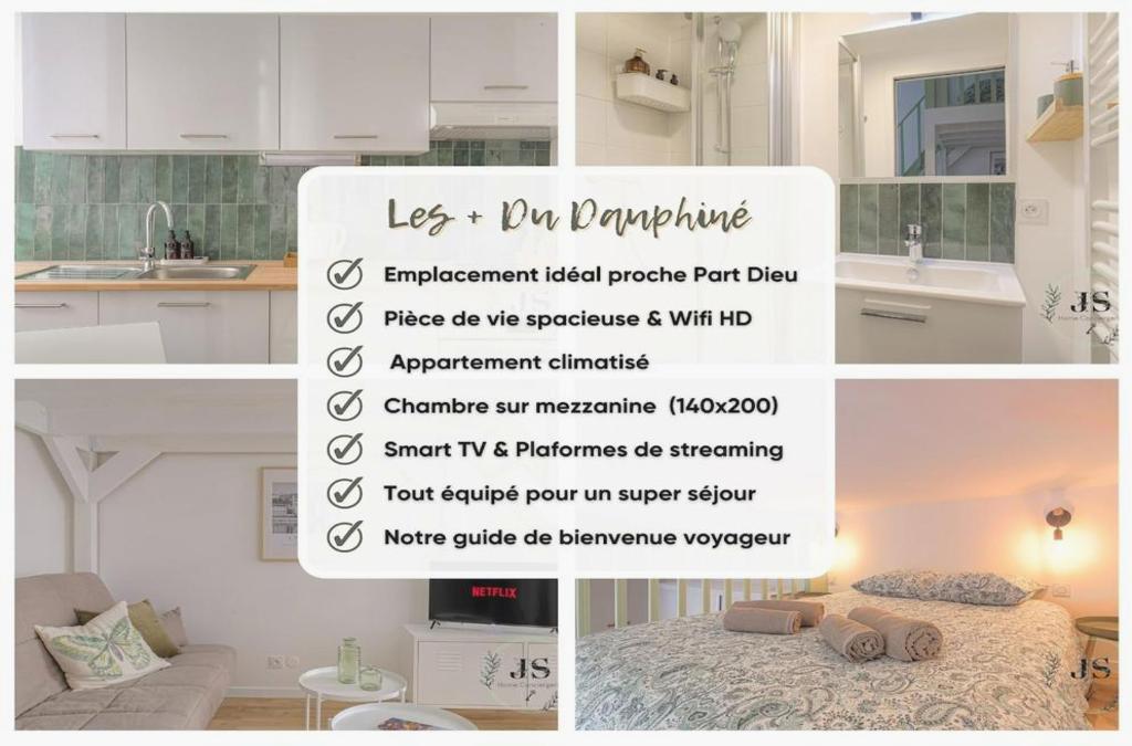 Le Dauphiné Studio Climatisé