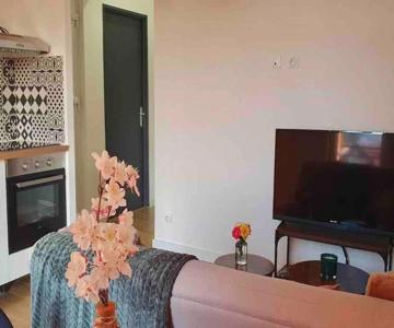 Appartement 40m2 Centre De Vichy