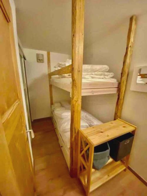 Cosy duplex in Chatel centre with indoor Parking