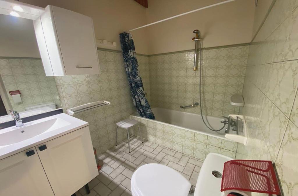 Châtel joli appartement 6 personnes
