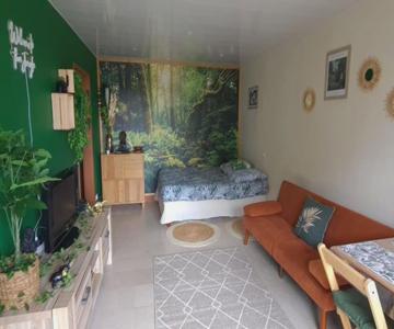Appartement Thème Jungle