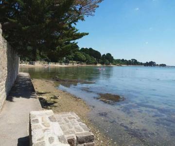 Au Bord Du Golfe Du Morbihan