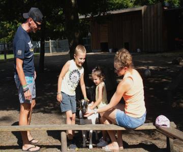 Camping Saint Laurent Morbihan