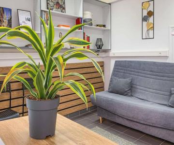 Cosy Appartement Hyper Centre-ville