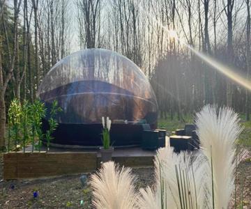 Logement Insolite Bubble Jungle