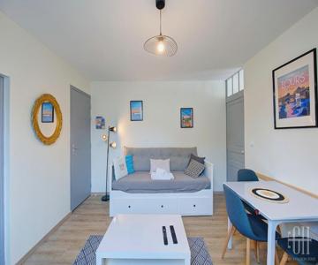 Le Valois / Vue Sur Château D'amboise