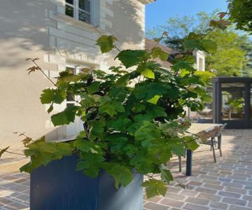 Chambre D'hotes La Marmittiere