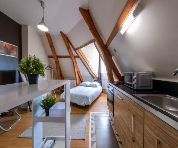 Saint -louis 3 -centre Ville-studette