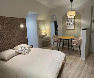 Magnifique Appartement Rénové Place Du Martroi