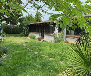 La Cabane Au Fond Du Jardin
