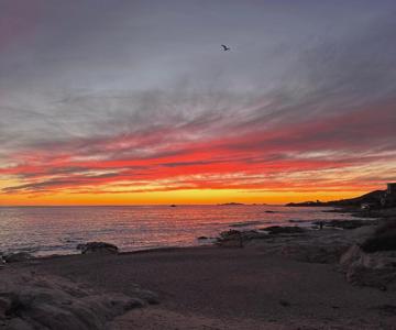Cabanon Sur La Plage Vue Sur Les Sanguinaires