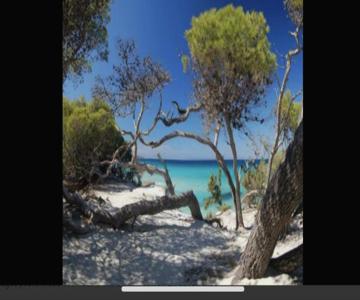 Résidence Calme à 2 Km De Saint-florent