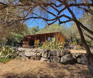 Chalet Cosy U Nestru