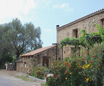 Pietra-monetta