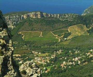 Casa-Albina-Corsica