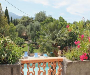 Le Clos Des Oliviers