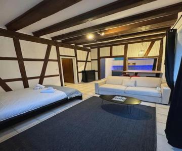Suite Schwendi - L'authentique - En Hypercentre