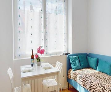 Le Charme Colmarien - Appartement 2 Pièces Au Cœur De La Ville