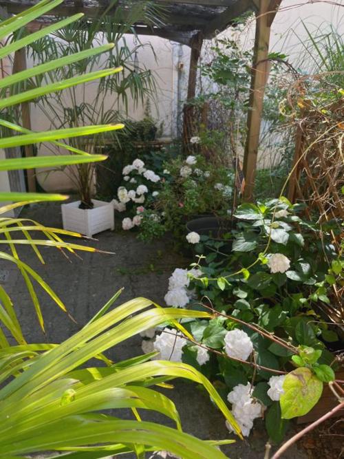 La Dolce Vita à Epernay