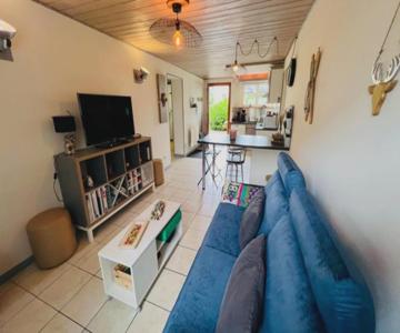 The Adorable Catalan Owl!!!