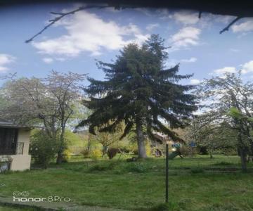 Beausejour