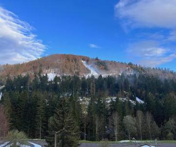 Le Balcon - La Bresse