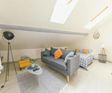 Appartement Hypercentre - Nancy