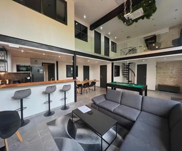 Loft Entier Nancy Centre Et Parking