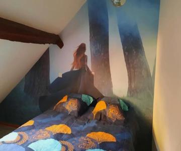 La Sorcière In A Typical Alsatian House