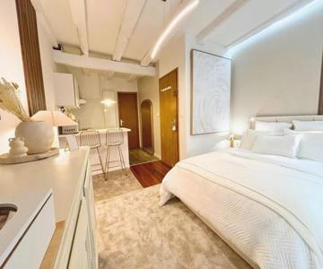 Studio De Standing En Hyper Centre