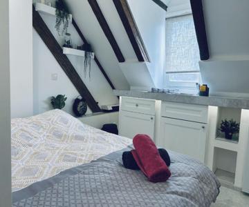 Cocon Au Cœur De Strasbourg