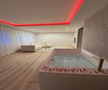 Élégant Appartement Avec Spa Jacuzzi