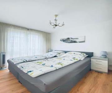 Citycosy Orangerie Strasbourg Appartement 2 Pièces En Face De Parc De L'orangerie Avec Un Parking So