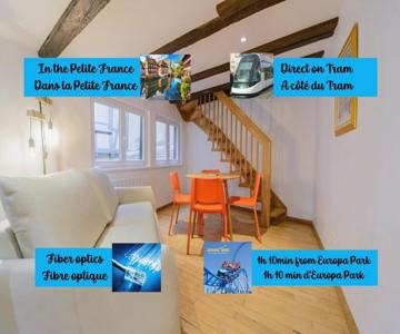 Cosy & Quiet Flat In Historical Lively Center Of Strasbourg