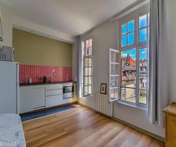 Bel Appartement Hypercentre De Strasbourg