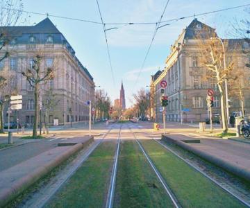 Avenue De La Paix - L'exclusif