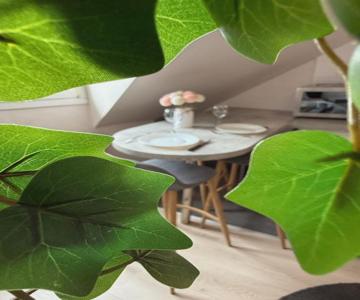 Appartement Strasbourg Centre